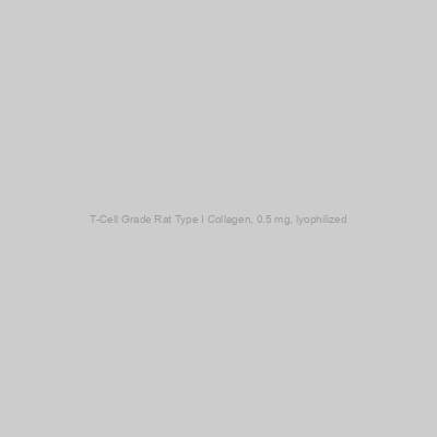 Chondrex - T-Cell Grade Rat Type I Collagen, 0.5 mg, lyophilized